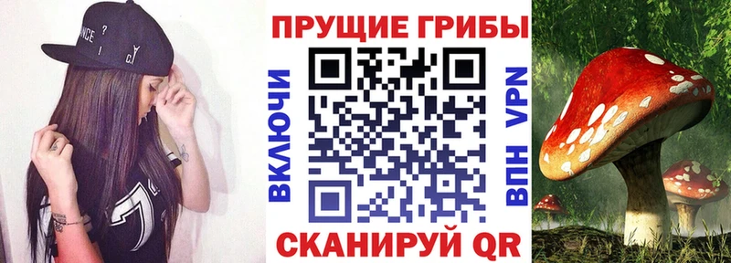 Галлюциногенные грибы Psilocybe  Кумертау 