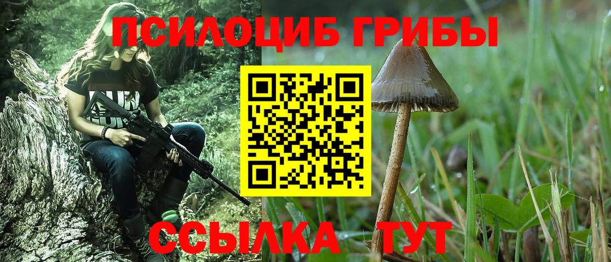 Псилоцибиновые грибы Magic Shrooms  Вход с VPN  Кумертау 